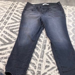 Torrid Jegging Black